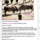 Image for article titled New Perez Hilton Lady Blog Leaks